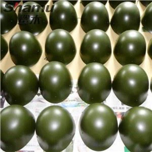 Αστυνομική προστατευτική επίστρωση πολυουρίας